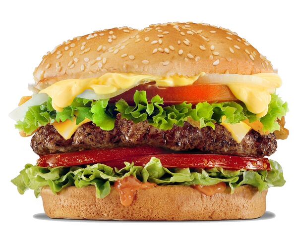 File:REALHamburger.jpg
