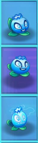 File:ElectricBlueberries.jpeg