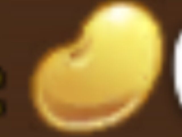 File:Bean.jpg