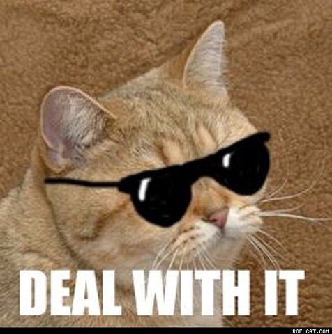 File:XDeal With It.jpg.pagespeed.ic.RX4hPJpUjr.jpg