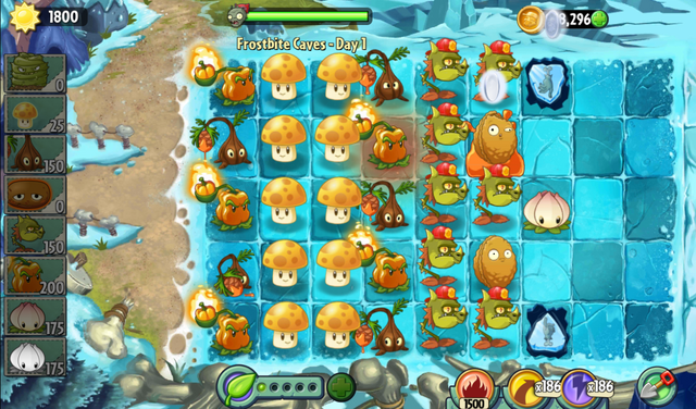 File:Fc1 cavia.png