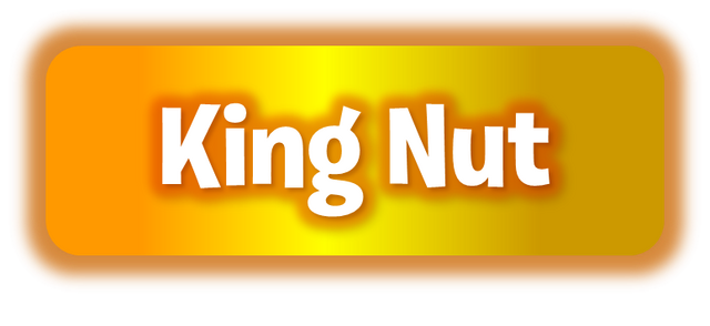 File:PvZ2 Kingnut WordmarkbyKh07.png