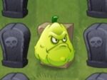 Squash-on-grave