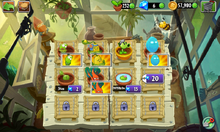 Zen garden glitch