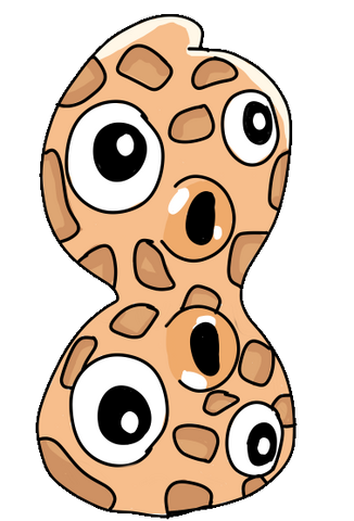 File:Peanut.png