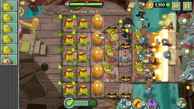 File:PSDay8Setup.jpg