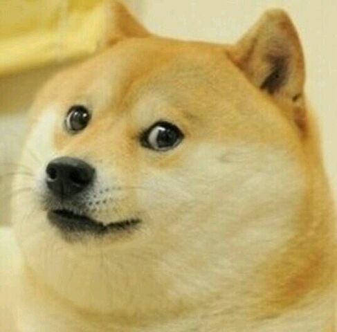File:DOGE.jpg