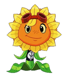 Sun-0