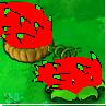 Dragonfruit Pult
