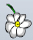 File:Flower Head.jpg