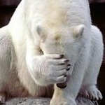 Facepalm bear.jpg