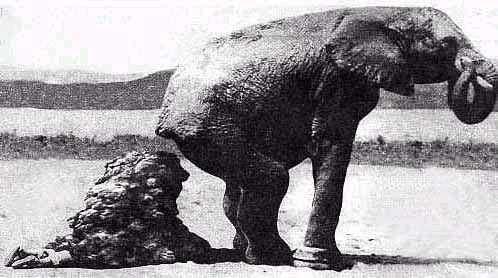 Bild Von Kacke: A Comprehensive Guide to Understanding and Utilizing Its Value