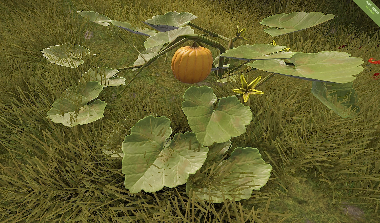 Image Pumpkin.plant.png Rust Wiki FANDOM powered by Wikia