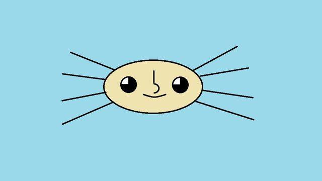 File:Sneef Spider.jpg