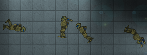 Floating Bodies