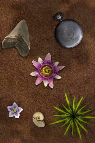 File:Scenery 8b.png