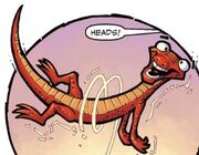 The lizard