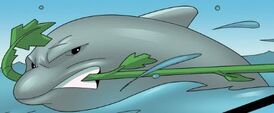 Dolphin po