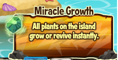 Miracle
