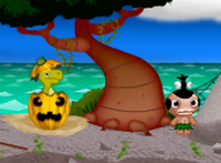 Pumpkin