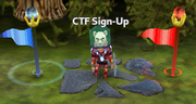 Capture-the-flag