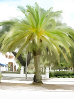 Town1
