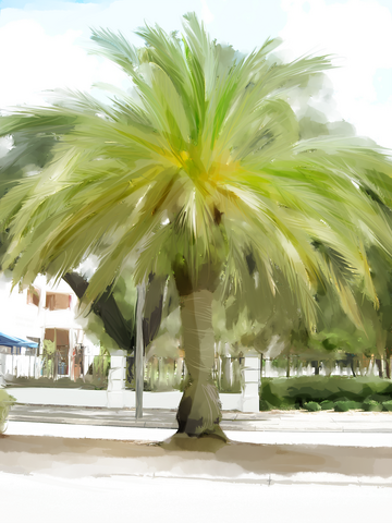 File:Town1.png