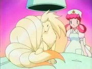 Ninetales anime.png