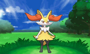 BraixenJogo.png