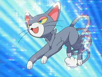 Glameow de Hikari (2)