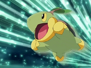 Turtwig.png