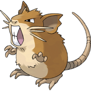 Pokemon Raticate