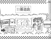 Route 11 Map Ch 12 164