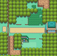 Ruta 7.png