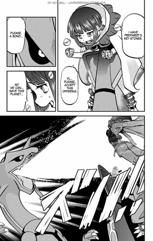 File:ORAS020 8.png