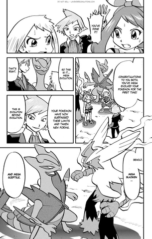 File:ORAS005 8.png