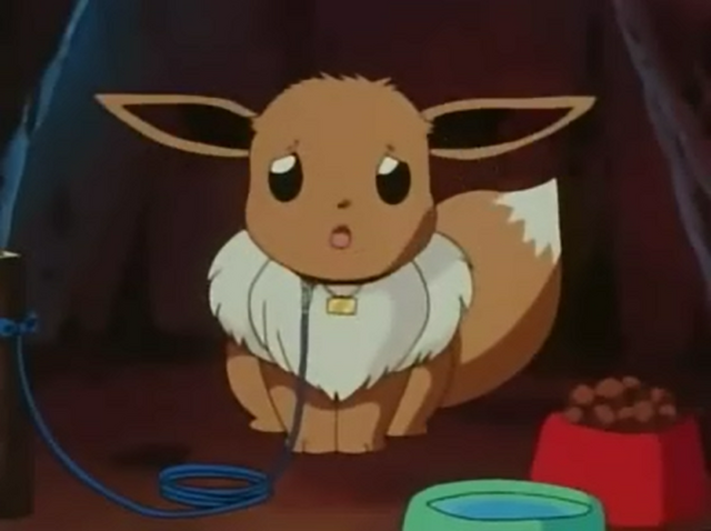 File:Eevee Tree.png