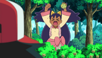 EP622 Iris.png