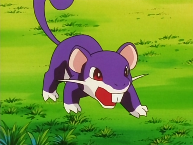 File:Casey Rattata.png