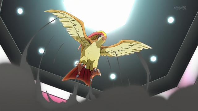 File:Blue Pidgeot PO.png