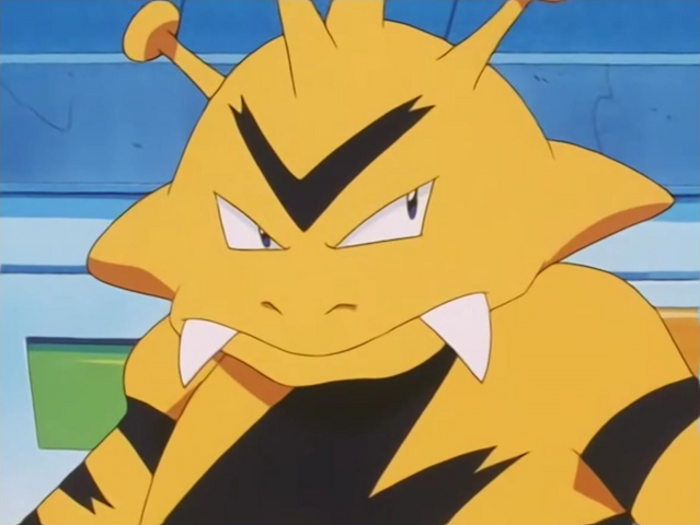 File:Head of Security Electabuzz.png