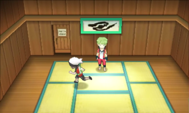 File:Petalburg City Gym ORAS.png