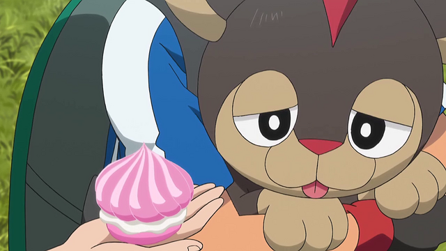 File:XY101 6.png
