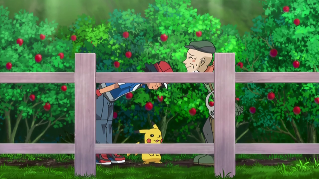 File:XY060 8.png