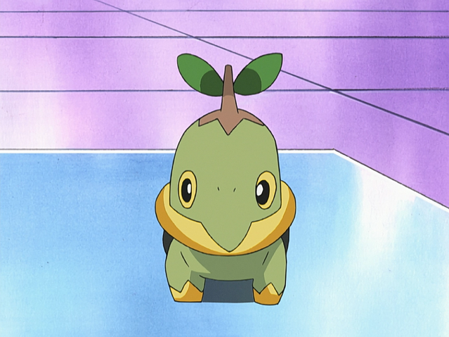 File:Rowan Turtwig.png