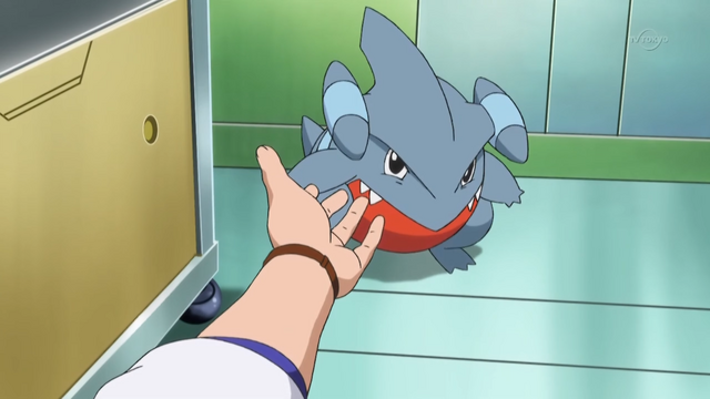 File:Sycamore Gible.png
