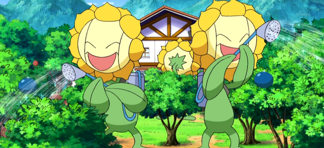 File:Lulu Sunflora.png