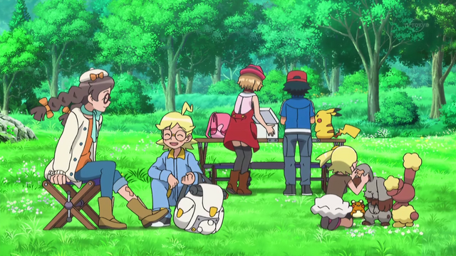 File:XY118 12.png
