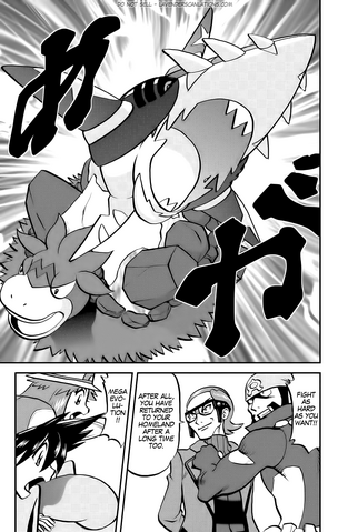 File:ORAS012 6.png
