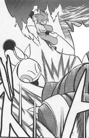 File:Brawly attacks Lairon.png